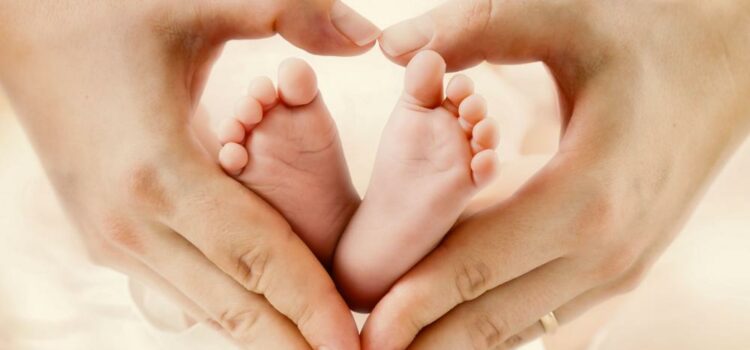 Solicitudes de devolución prestación maternidad