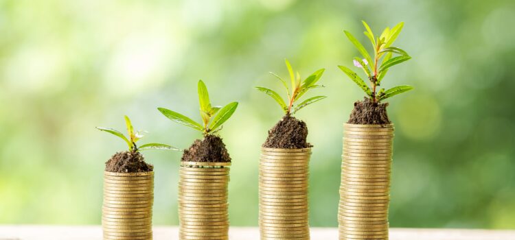 SUBVENCIONES AL SECTOR COMERCIO DETALLISTA Y DETERMINADAS EMPRESAS DE SERVICIOS 2021 EN BALEARES